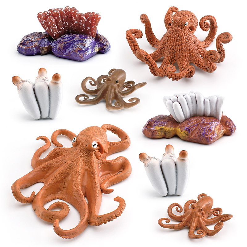 Amazon simulation marine animal octopus growth cycle model octopus growth transformation process decoration toy