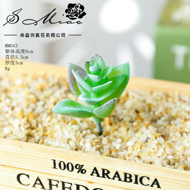 Picture of 003 Flocked Green Succulent Flower Head Creative DIY Supplies Bonsai Accessories Artificial Flower Jinhua Factory Direct Supply