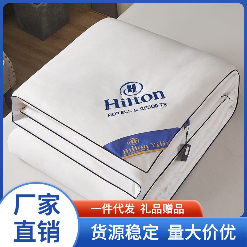 Factory Direct Sales Silk Quilt Spring and Autumn Quilt Thickened Winter Quilt Supermarket Wholesale Gift Quilt Hotel Bed and Breakfast Quilt Core
