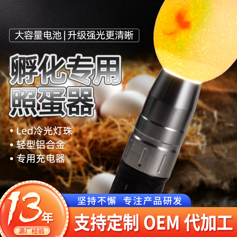 Hatching Egg Selection Inspection Lamp, Egg Development Inspection Lamp, Rechargeable Led High-Brightness Cold Light Flashlight