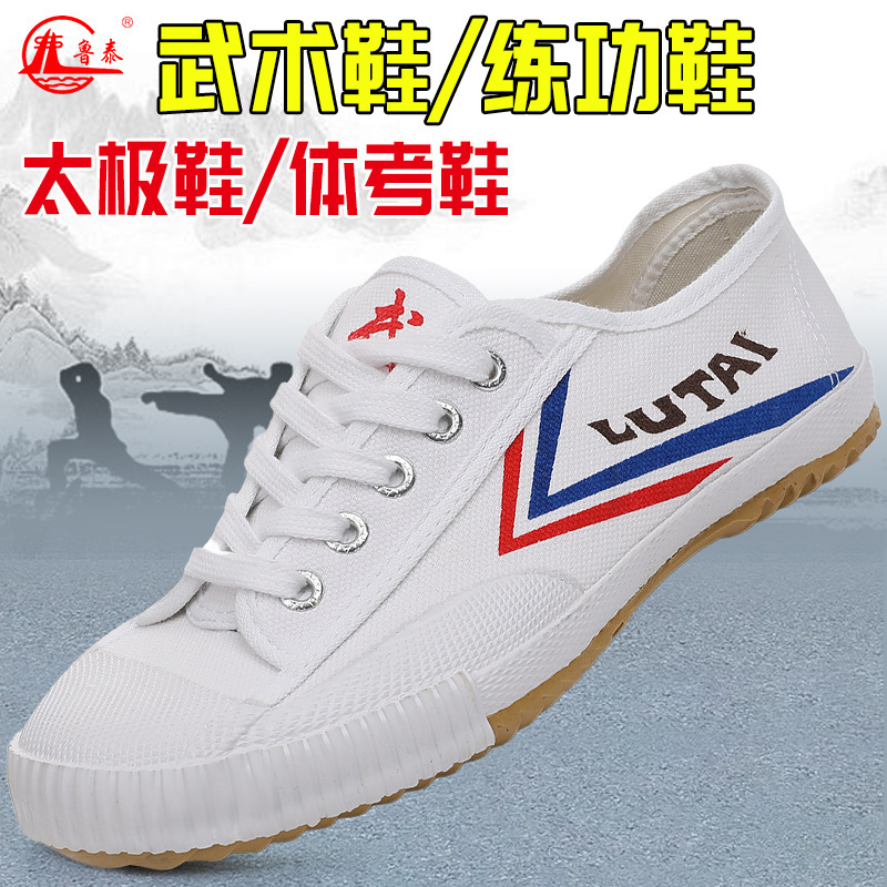 Professional Martial Arts Shoes for Students Tai Chi Shoes Morning Practice Shoes Men's Shoes Breathable and Smelly Men's Casual Shoes sneaker Sneakers