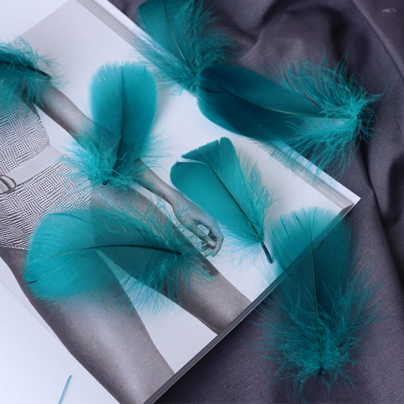 Picture of Color feather DIY floating dyeing goose feather dream catcher wave ball gift box filling decorative materials wholesale
