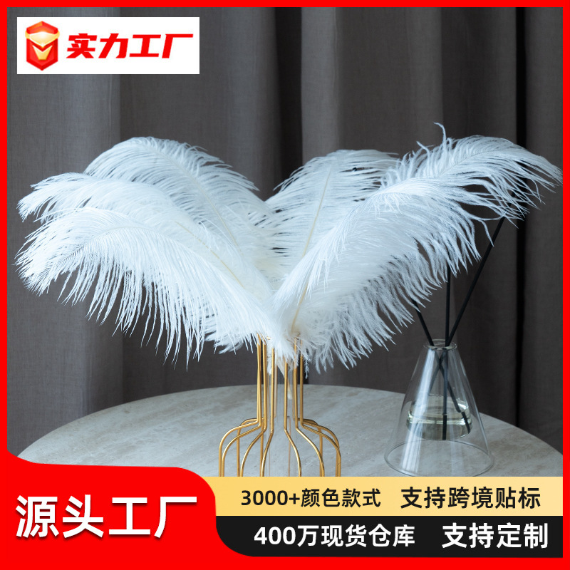 Macaroon ostrich feather 30-35cm ostrich feather living room dining room atmosphere decoration bouquet diy material