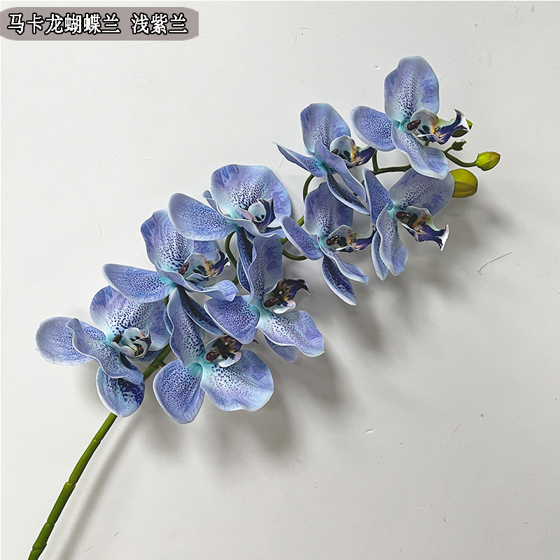 Picture of New hand-feeling film phalaenopsis 9-head big orchid macaron phalaenopsis multi-color beautiful bright drape