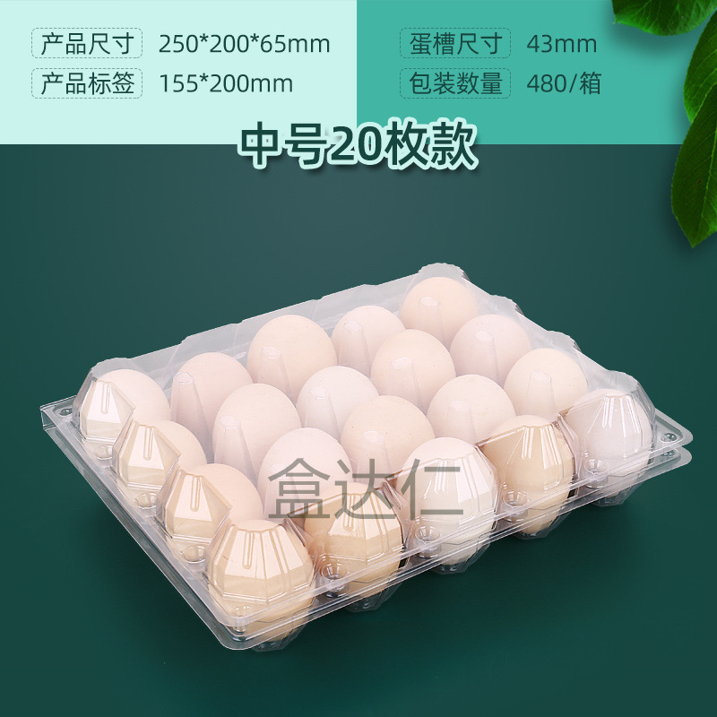 Disposable plastic egg tray 20 pieces with buckle with lid shockproof transparent soil egg packing box factory direct