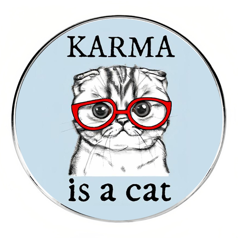 Karma is a cat brooch Taylor music album pin badge metal alloy badge accessories