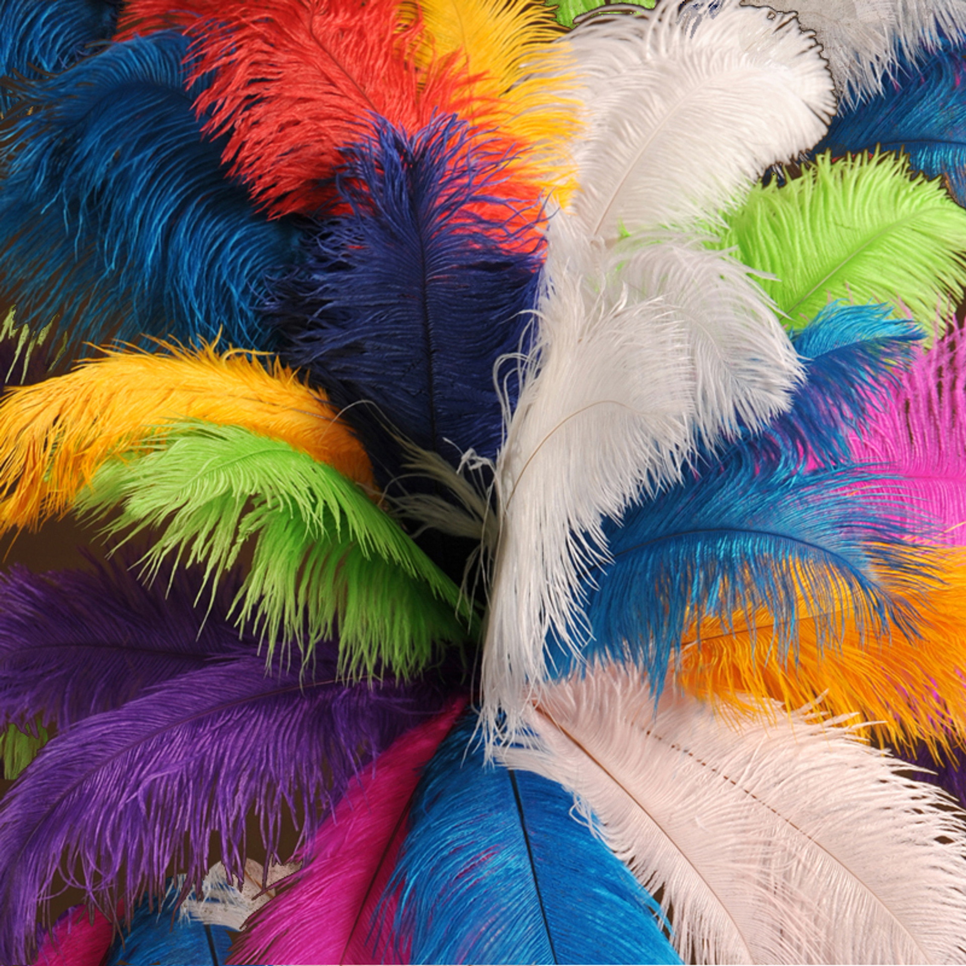 Picture of Ostrich hair 15-20cm mask color feather ear picking accessories DIY jewelry wedding decoration props a variety of colors