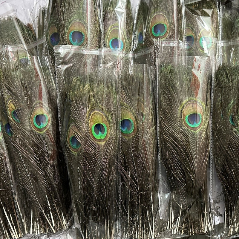 Manufacturer supply 25-130cm peacock feather big eye feather arrangement vase flower earring jewelry peacock feather fan