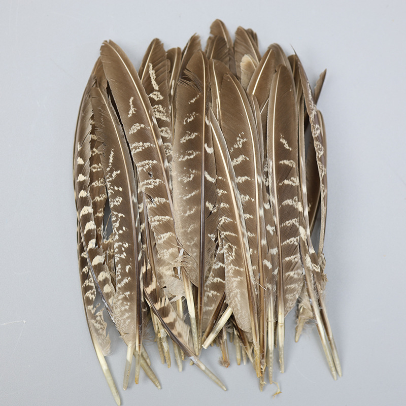 Factory Wholesale Rooster Feather Natural Feather Stage Performance Prop Feather Nest Feather DIY Headdress Feather Accessories