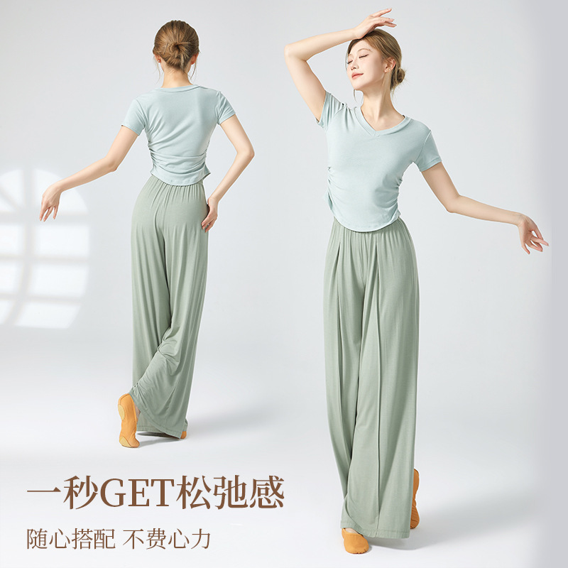Picture of Dance Suit Top Women's V-neck Slim Look Classical Dance Suit Modern Dance National New Style Clothing Adult Dance Practice Suit