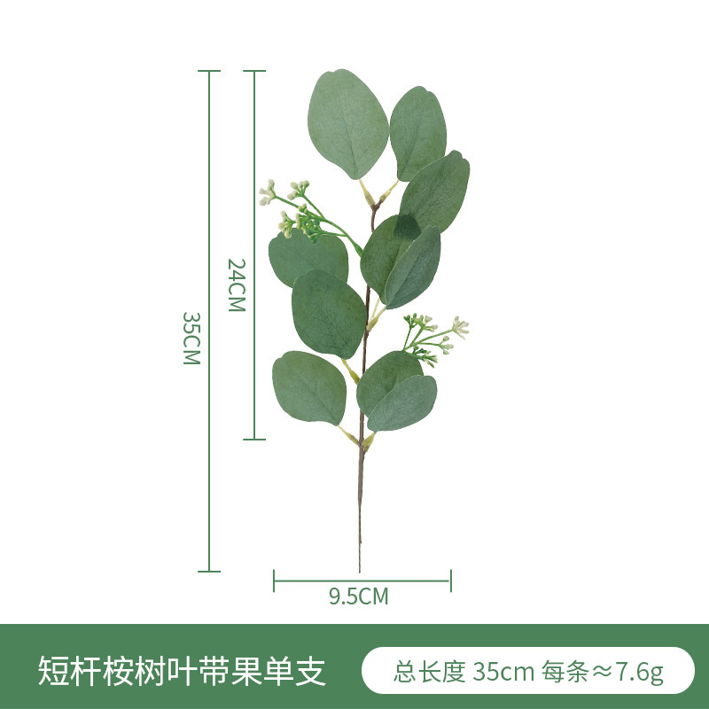 Picture of Eucalyptus leaves eucalyptus leaves simulation single simulation green plant christinae multicolor Frost White Frost eucalyptus