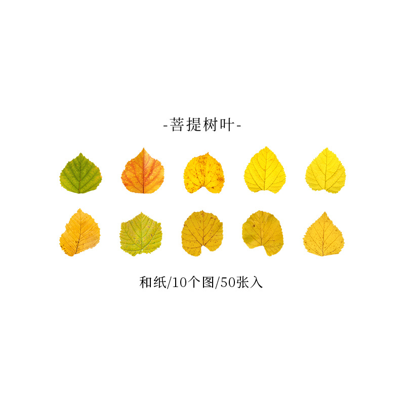 Picture of A Beautiful Day Tape Champs Elysees Leaves Series Creative Plant Hand Account DIY Decorative Stickers 8