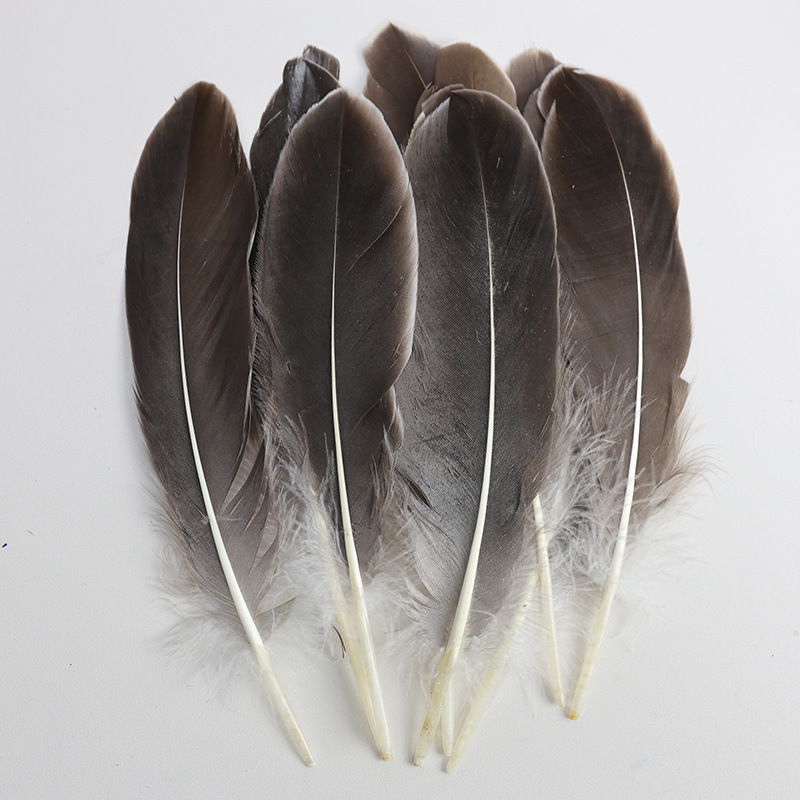 Factory feather wholesale primary color goose feather large floating kindergarten handmade creative accessories craft decorative feather accessories
