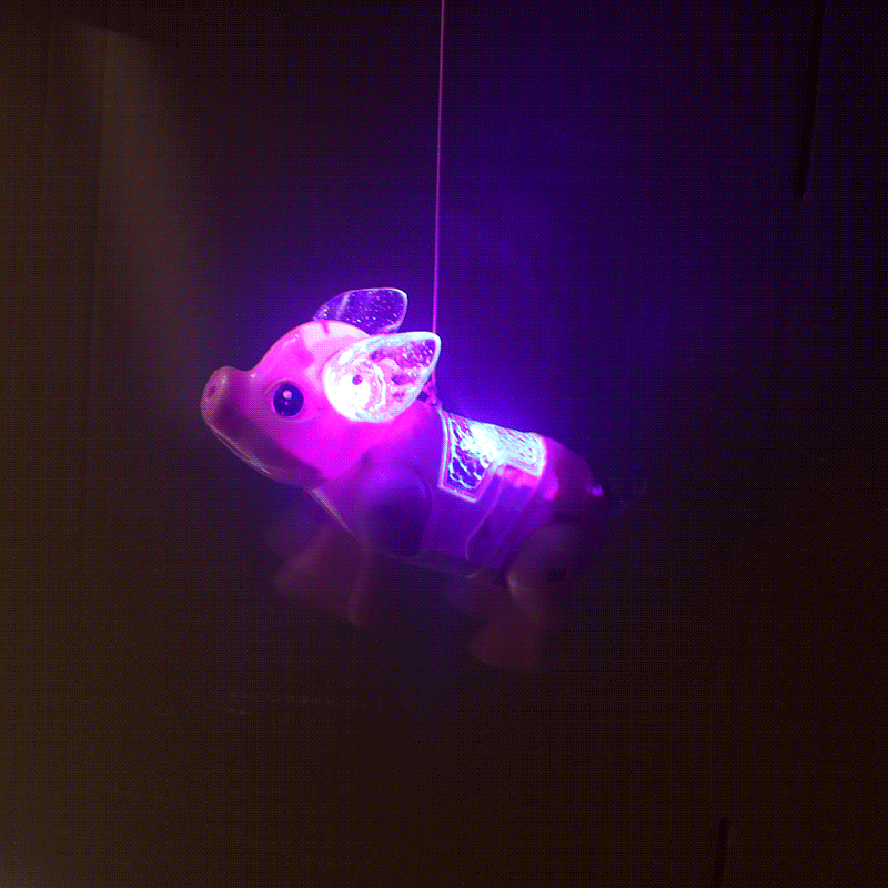 Picture of Luminous Music electric rope pig children's rope pig colorful flash universal pig gift gift toy wholesale