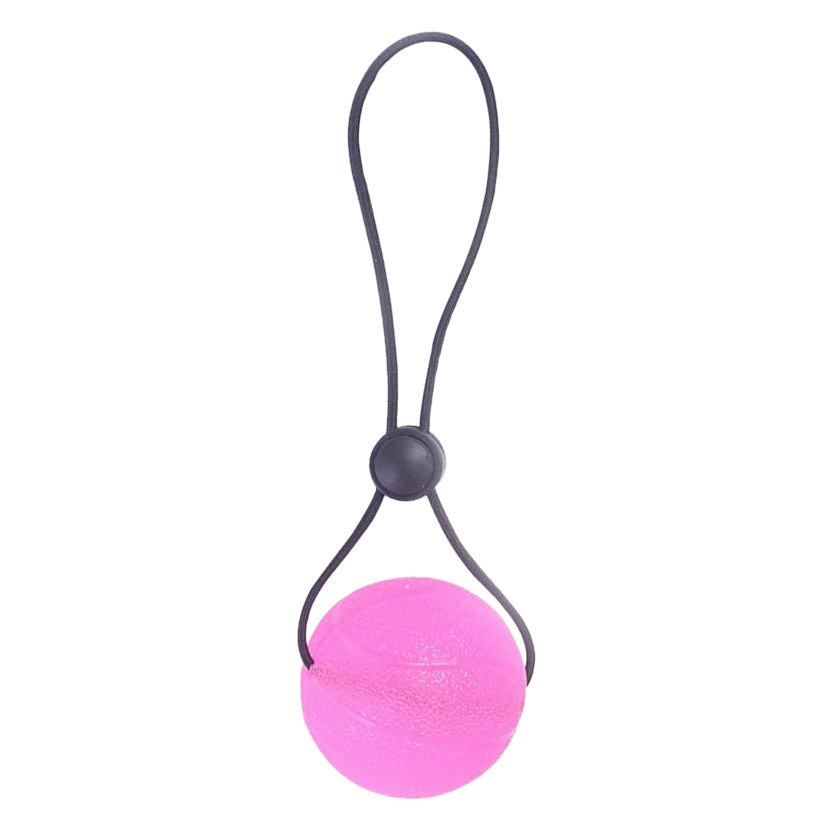 Picture of Hand grip ball with rope rehabilitation training finger massage equipment pinch force Stroke hemiplegia exercise hand grip ball elderly
