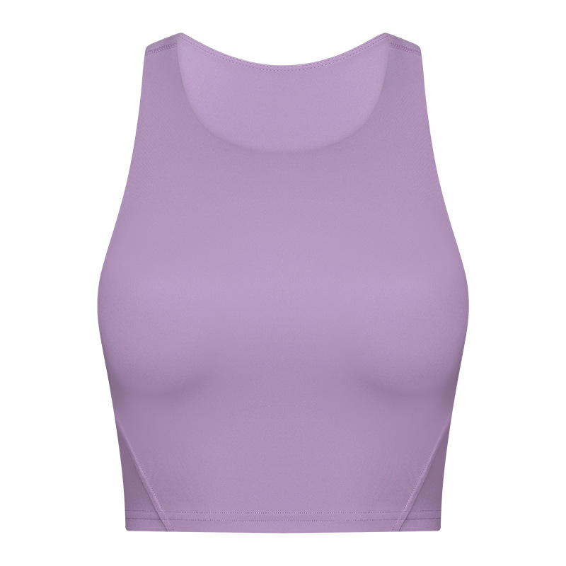Picture of New Style Elevated Round Neck Sports Vest with Chest Pad for Women Nude Sports Fitness Yoga Bra Dt169