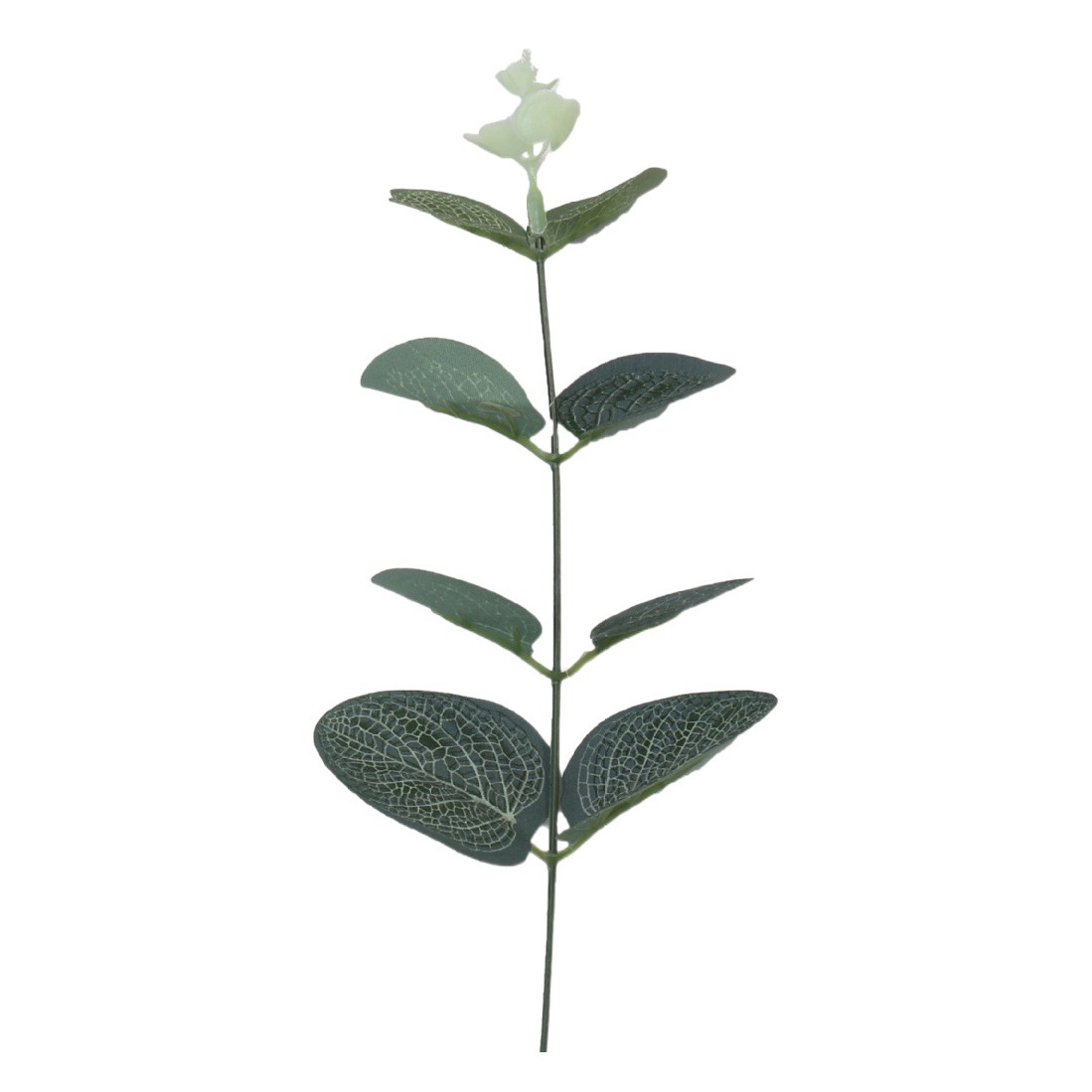 Amazon Simulation Single Money Leaf Eucalyptus Green Plant Wall Wedding Photography Photo Props High Artificial