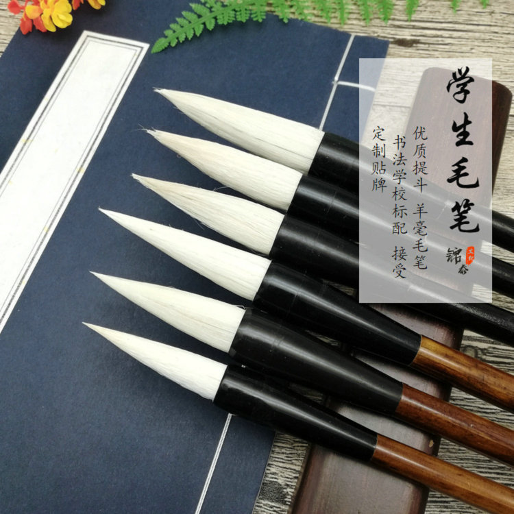 Yang Hao and Yang Tidou Brush Chinese Painting Calligraphy Students Dou Fang Lian Pen Calligraphy and Painting School Training Course Wen Fang Wholesale