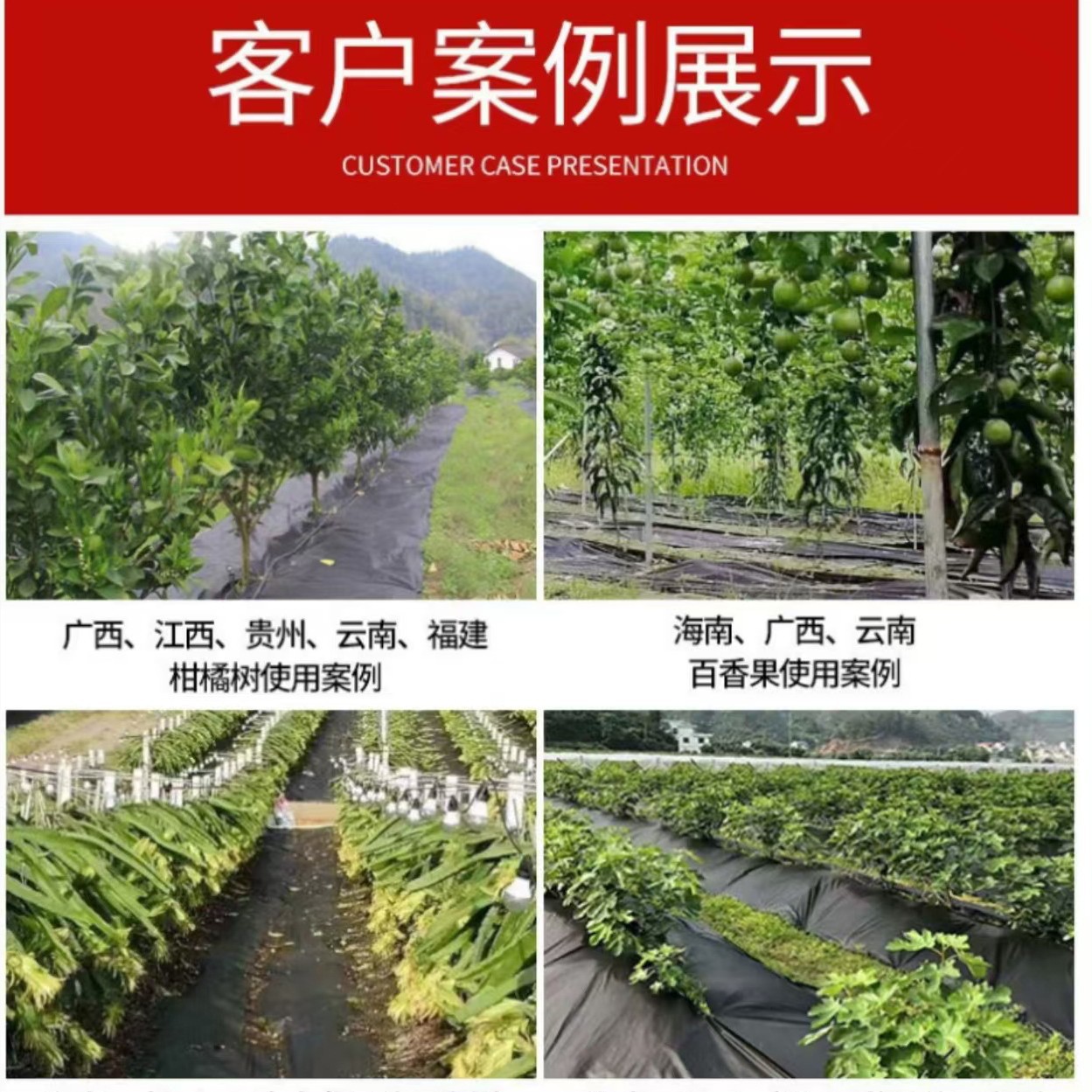 Picture of Manufacturer Cross-Border Supply of Agricultural Pp Weed-Proof Cloth, Gardening Weed-Suppressing Cloth, Orchard Water-Permeable Breathable Degradable Weed-Killing Cloth