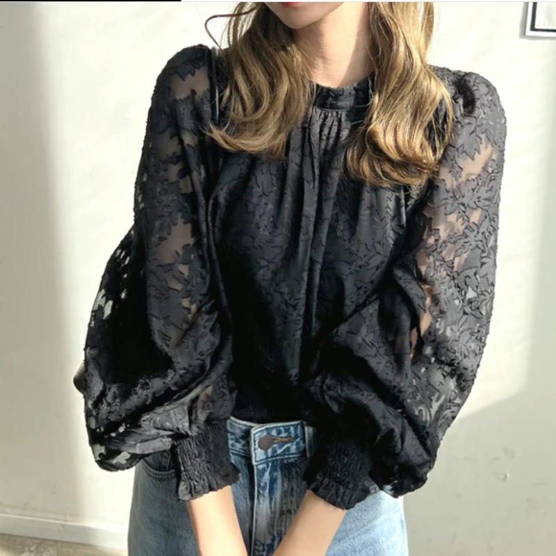 Picture of Cross-border foreign single Japanese South Korea European station foreign trade Korean pullover chiffon shirt lace top sunscreen shirt air conditioning shirt
