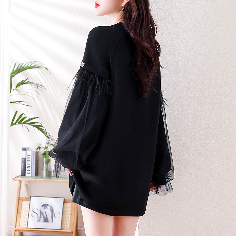 Picture of Real Shot of Casual Mesh Black Sweatshirt for Women, 2025 Autumn New European Style, Plus Size, Loose Long-Sleeve Top, Trendy