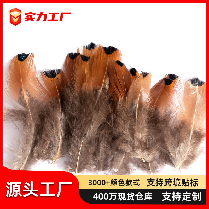 50 Pieces/Pack of Feather Pheasant Feathers, Large Handmade DIY Clothing Making Materials, Corsage, Headdress, Colorfulful Decoration