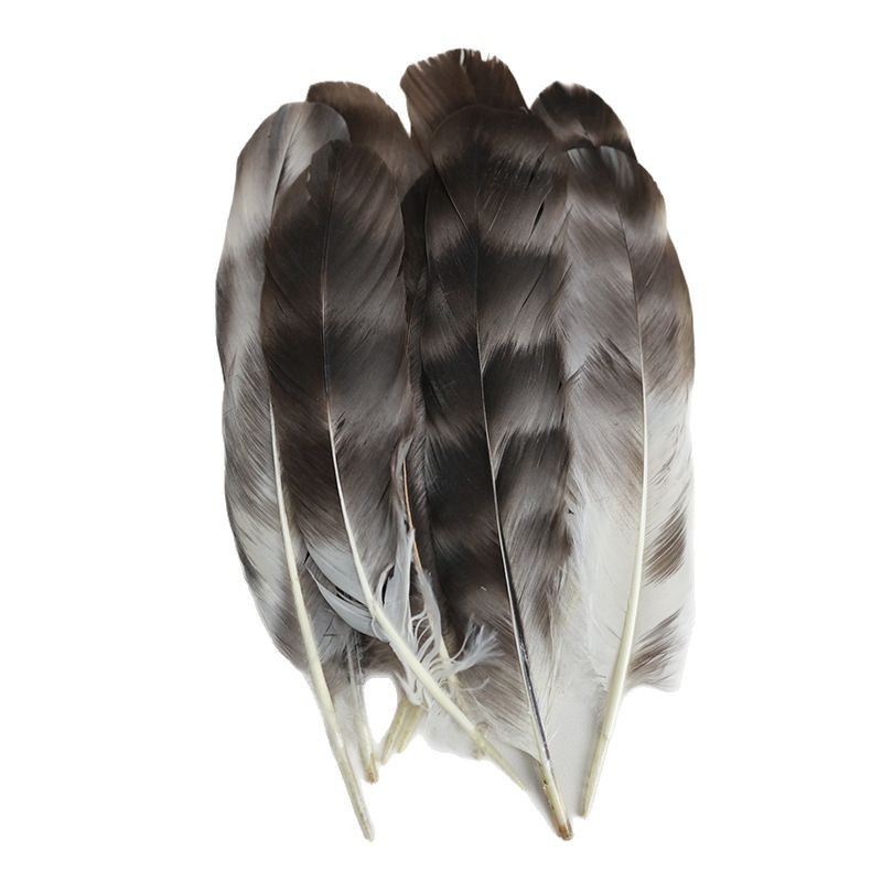 Picture of Wholesale in stock reed flower nest feather blue and white natural pheasant feather DIY decorations feather accessories hat headdress material