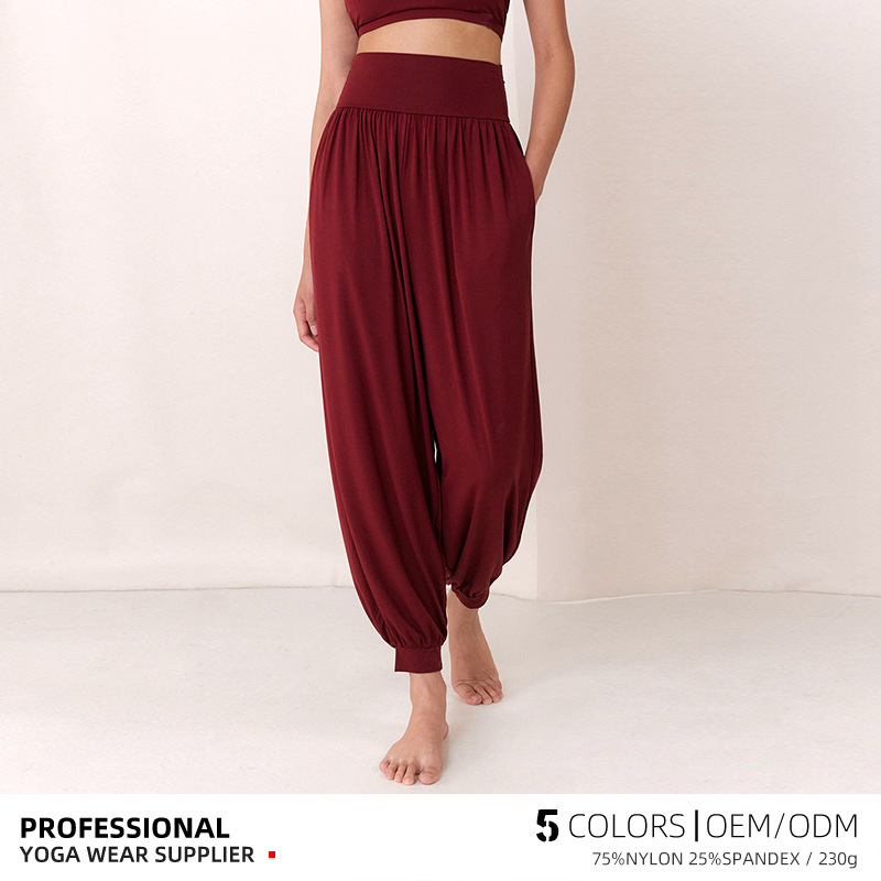 Spring 2025 New Korean Style High Waist Harlan Yoga Pants Women's Trousers Loose Leg Dance Sports Pilates Pants