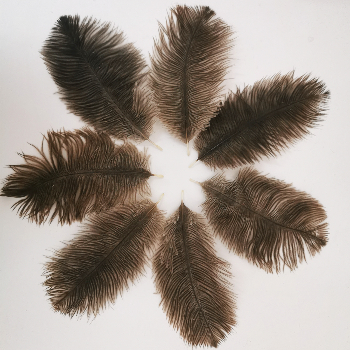 Picture of 10-15cm ostrich hair source factory bouquet wedding decoration feather wall handmade DIY crafts stage clothing