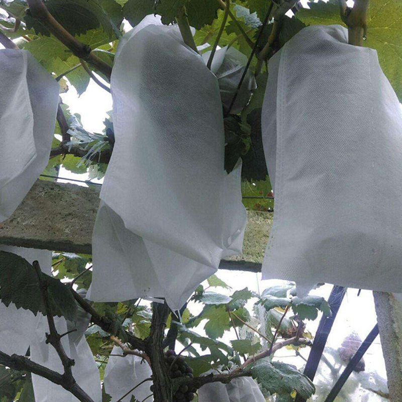 Picture of Non-Woven Fruit Bagging, Tying Wire, Grape Bag, Anti-Bird and Insect-Proof Water, Special Fruit Bag, Seedling Bagging, Spot Wholesale