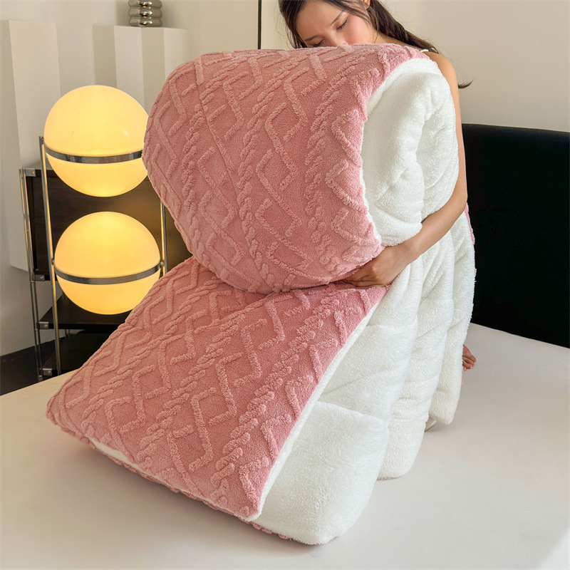 Picture of Taff velvet winter quilt lamb velvet arctic velvet core single double padded warm winter quilt factory wholesale generation