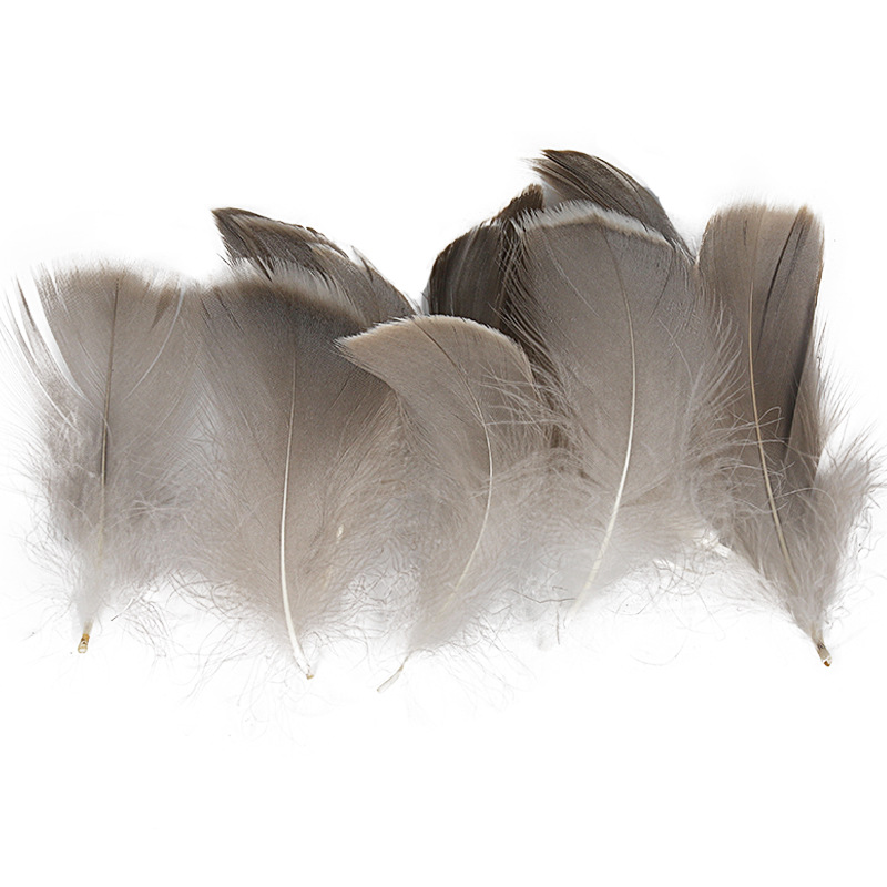 Picture of Special offer about 100 colored small floating feathers goose feather diy jewelry festival scene decoration filler feathers