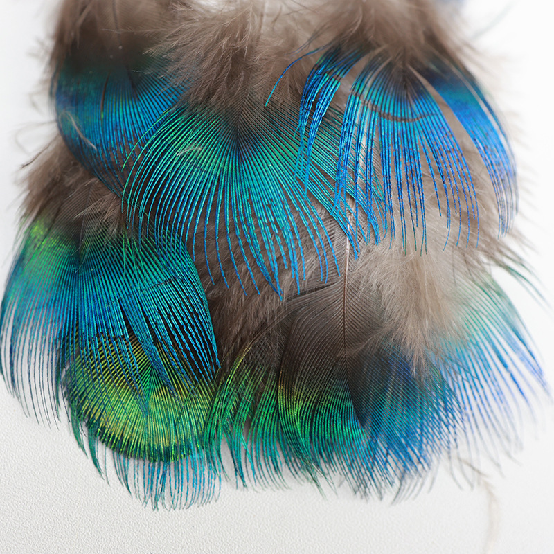 Picture of Wholesale 3-4cm Natural Peacock Neck Blue Flakes Dotting DIY Material Feather Decoration Accessories Small Feathers