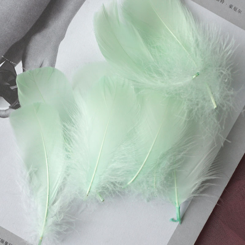 Picture of Color feather DIY floating dyeing goose feather dream catcher wave ball gift box filling decorative materials wholesale