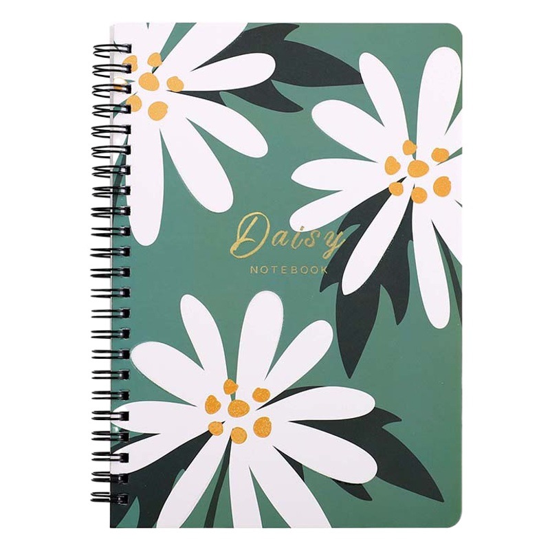 Cross-Border Wholesale Creative Double-Coil Loose-Leaf Book Ins Style Hand Ledger Student A5 Book Office Schedule Notepad