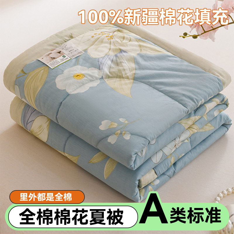 Picture of Class A cotton printed cotton summer quilt cotton washable air conditioner quilt Xinjiang cotton quilt core single double gift quilt