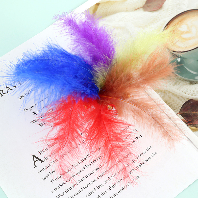Macaroon Feather Pointed Tail Down Turkey Feather Bouquet Wreath Wave Ball Gift Box Stuffed Dream Catcher Decoration