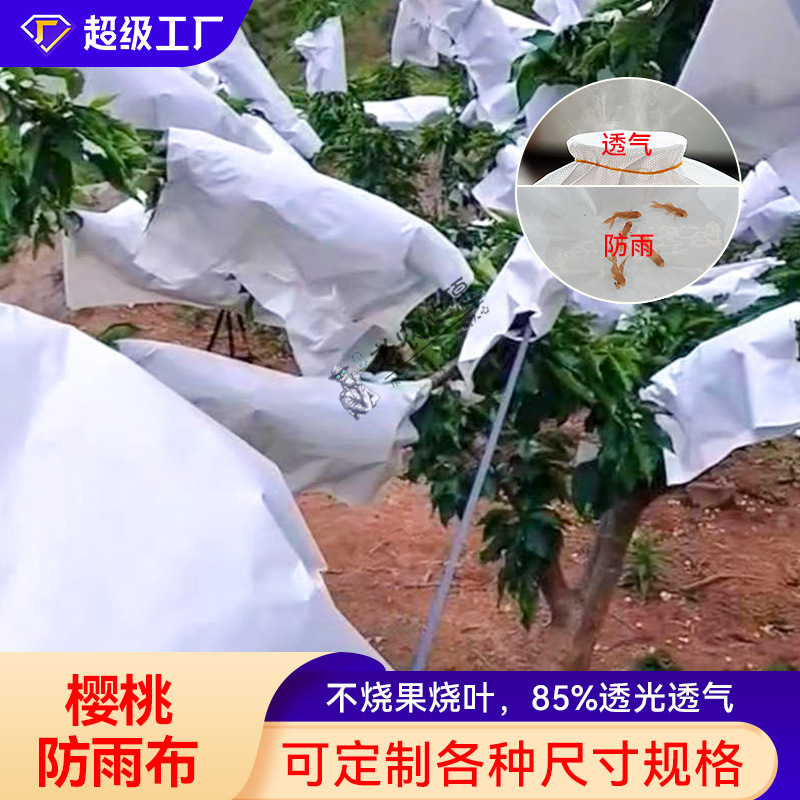 Fruit Tree Rain Cover for Cherries, Rain Protection for Plums, Crack Prevention, Insect and Bird Protection, Breathable and Light-Transmitting Rain Cover, the Wish of an Old Farmer