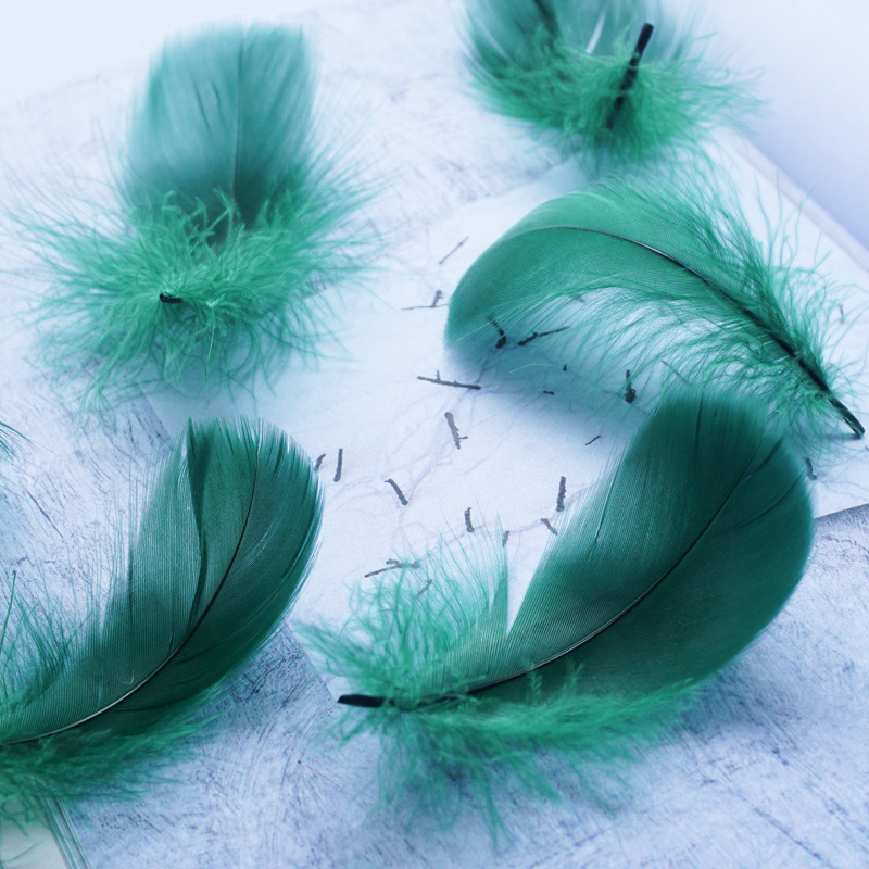 Picture of Color feather DIY floating dyeing goose feather dream catcher wave ball gift box filling decorative materials wholesale