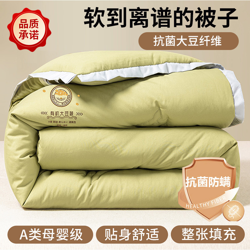Picture of Soybean Fiber Quilt Winter Quilt Thickened Warm Winter Quilt Core Quilt Autumn Winter Quilt Spring and Autumn Quilt Single Winter