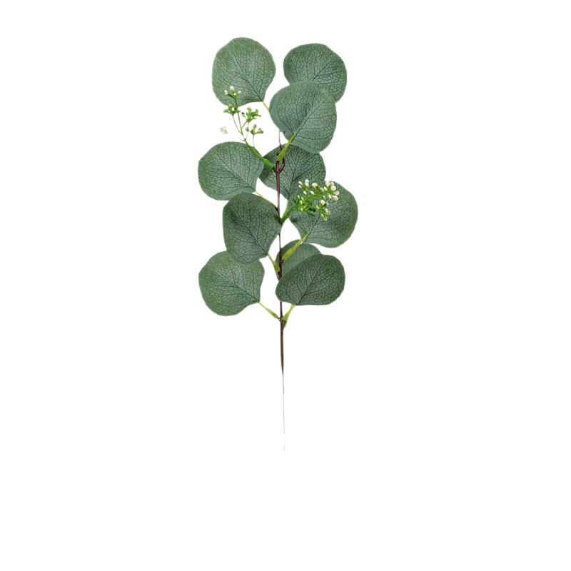 Picture of Simulation eucalyptus cuttings short branches with fruit money leaves diy single Nordic simulation plant eucalyptus leaves wholesale