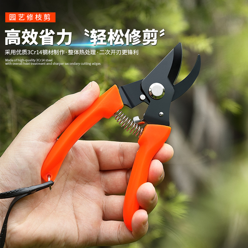 Garden garden thick branch stainless steel shears gardening floral shears grafting automatic rebound shears multifunctional manufacturers wholesale