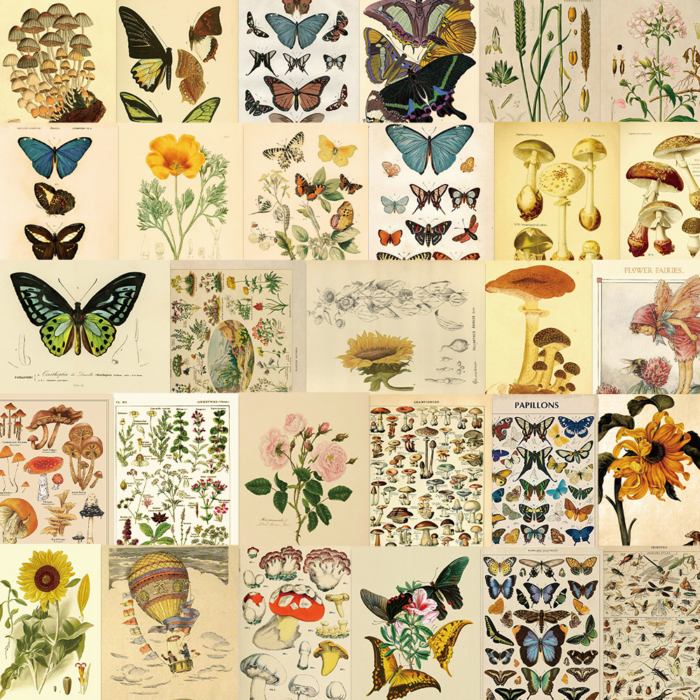 50 pieces of animal and plant sticker bag waterproof square retro flowers butterfly specimens nature series DIY hand account material