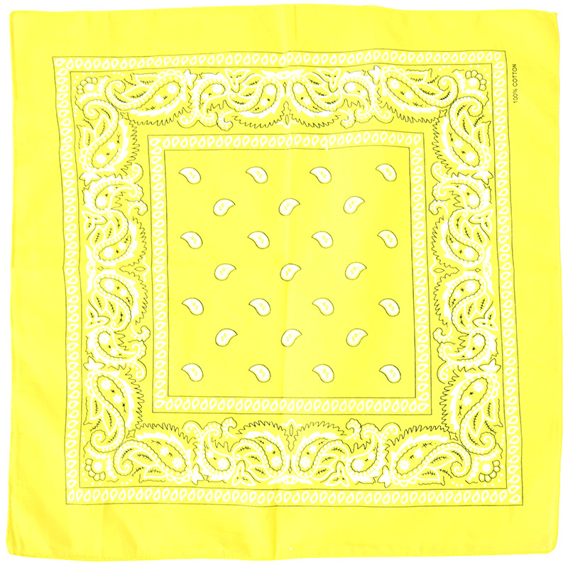 Picture of Factory Wholesale European and American Cashew Flower Square Scarf Outdoor Sports Cycling Hip-Hop Spot Pure Cotton Insect Printed Headscarf