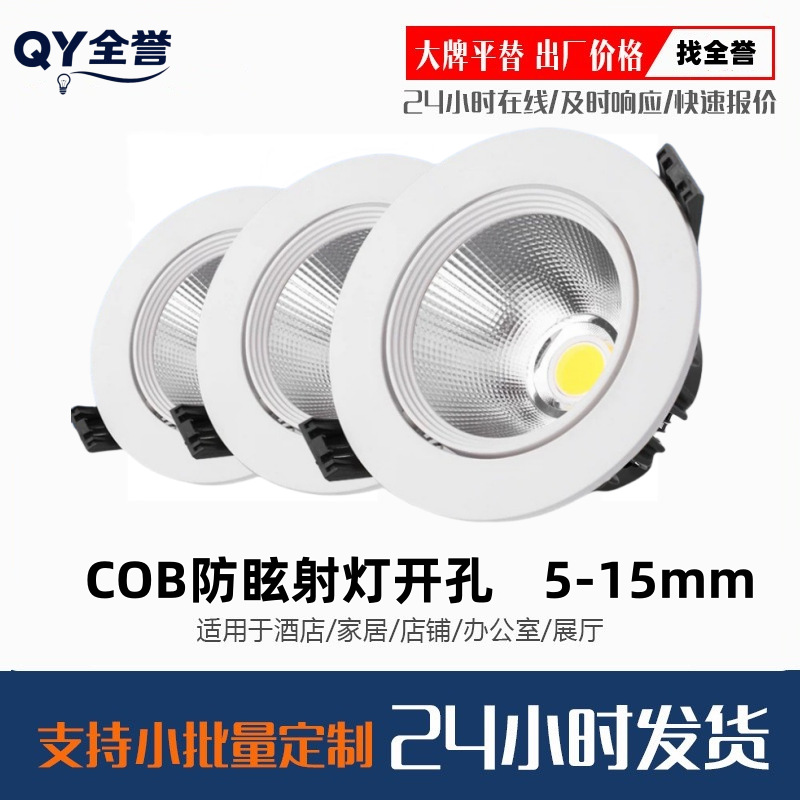COB spotlight led ceiling light recessed living room chandelier background wall bull's eye hole light 3w5w12w hole light downlight