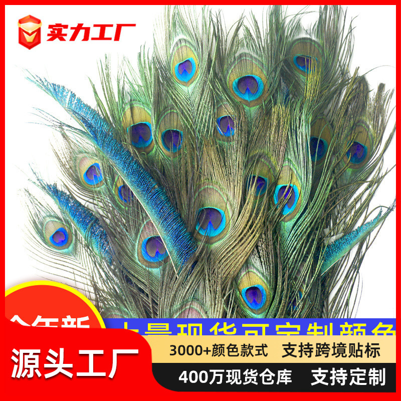 Natural Peacock Hair Wholesale Vase Bottle Ornaments Decorative Big Eye Peacock Plume True Feather Jewelry Dot Green Material