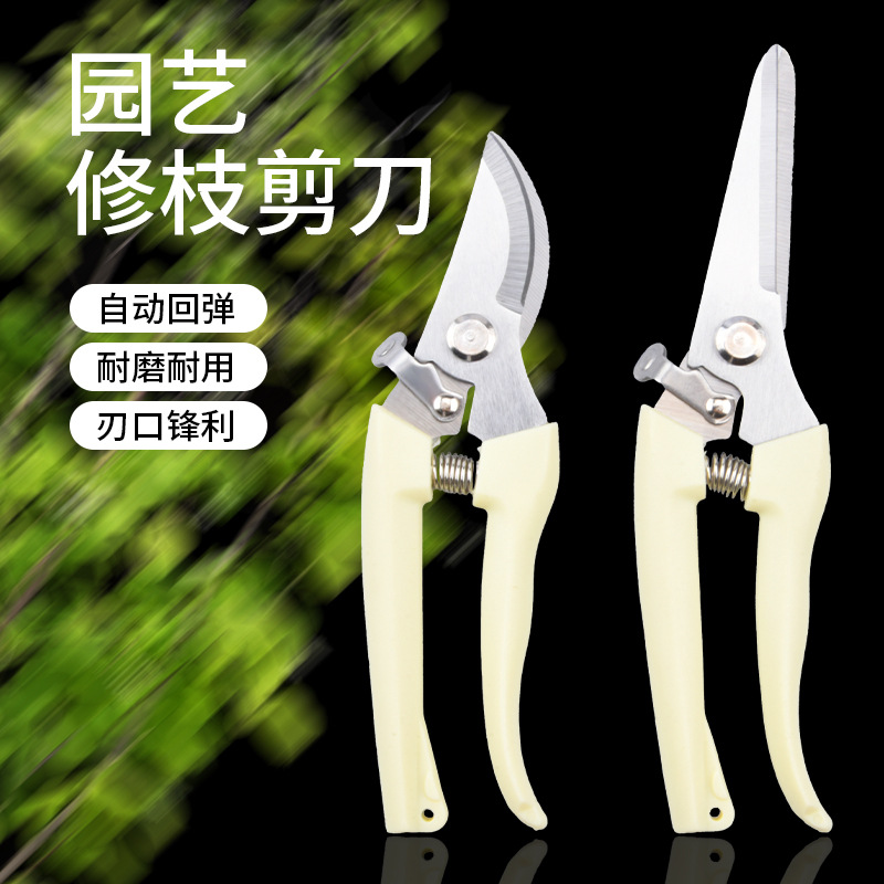 Stainless Steel Fruit Picking Shears, Garden Branch Shears, Branch Cutting Tools, Gardening Fruit Branch Shears, Garden Pruning Shears