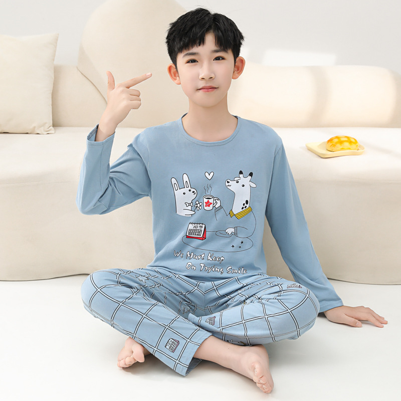 Picture of Summer Boys' Pajamas Pure Cotton Thin Long Sleeve New Arrival Printed Outer Wearing Summer Children's Air Conditioning Home Clothes suit