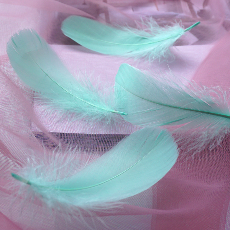 Picture of Macaron color feather decoration goose feather large and medium floating dream catcher gift box filled bouquet diy handmade material