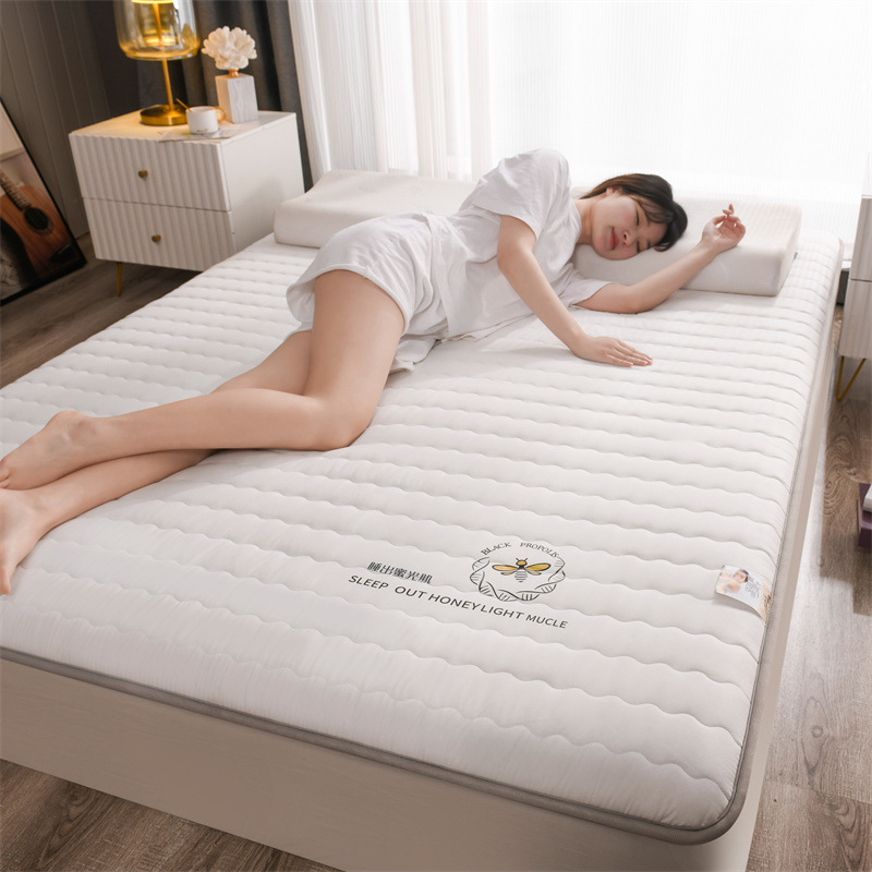 Picture of Soybean fiber mattress foldable home bed & breakfast tatami floor sleeping mat single double rental soft mattress wholesale